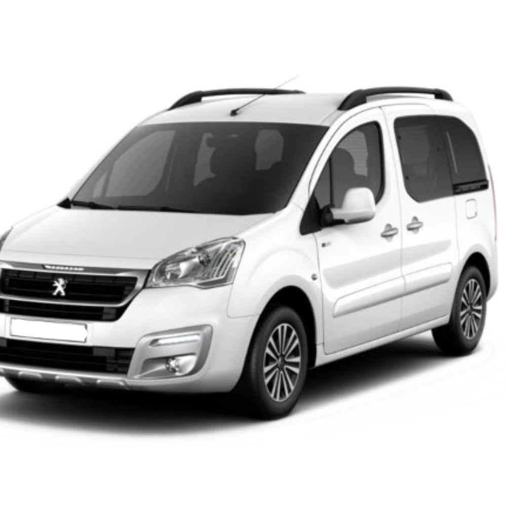 Peugeot tepee